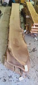 Black Walnut Slab 179 Length  124 Thick  13.5-13-22 Ends and Middle Width