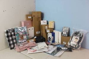 lot 223 image: Amazon Returns and Shelf Pulls - See Pictures
