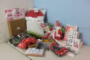 lot 225 image: Amazon Returns and Shelf Pulls - See Pictures