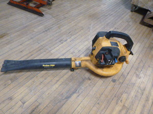 lot 10 image: Poulan Pro Leaf Blower