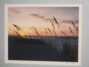 lot 60 image: Natural Photography Pair