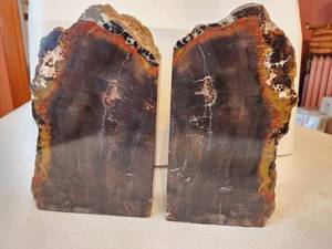 Petrified Wood Bookends