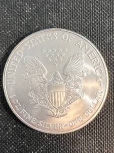 2007 AMERICAN SILVER EAGLE 1 TROY OZ .999 FINE SILVER