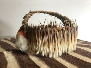 Ceremonial Porcupine Quill Headdress wFeather