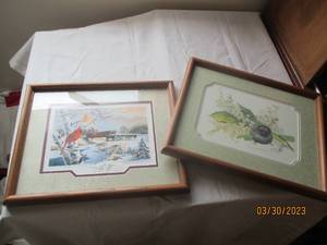2 framed pieces of bird artwork, D...