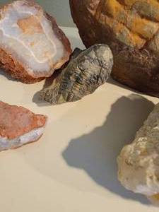 lot 77 image: Collection of Geode and Fossil Specimens
