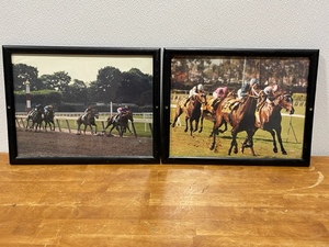 Horse Racing Pictures