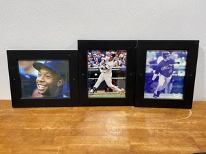 Minnesota Twins Pictures
