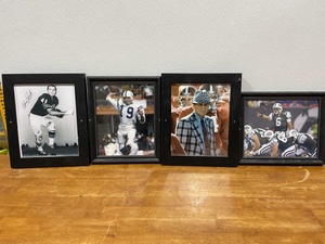 Johnny Unitas, Bear Bryant, Mark Sanchez, Brian Piccolo