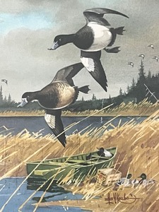 lot 155 image: Les Kouba - Northern Bills - Framed Art Print