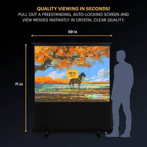 lot 8 image: Kodak Portable Projector Screen