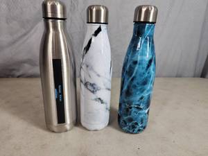 lot 216 image: 3 New Stainless Steel Bottles  Tumblers