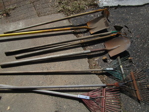 lot 318 image: Garden Shovels, Hoes, Rakes