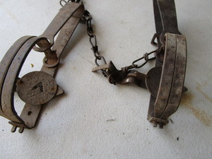 lot 328 image: Victor Traps
