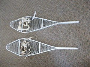Snow Shoes