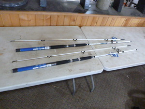 2 Shakespeare Surf Stik Rods