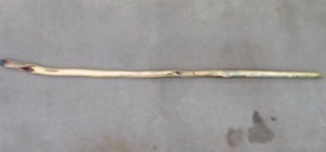 lot 98 image: WALKING STICK