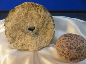 lot 99 image: GEODE