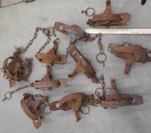 lot 143 image: 10 VICTOR TRAPS