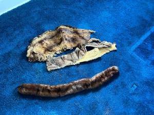 lot 107 image: Furs