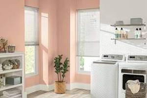 lot 55 image: Essentials Premium 1 Inch Vinyl Blinds by Bali 24x36