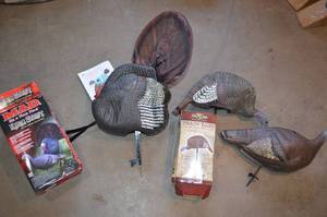 Sportsman 310