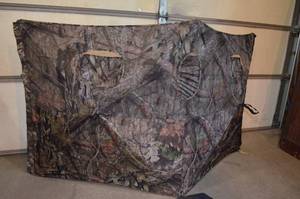 Sportsman 310