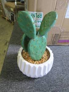 box of 10 faux cactus in planters ...