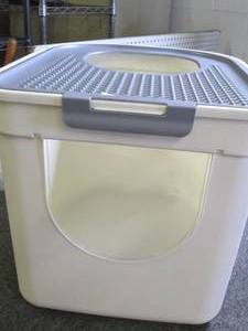 litter box ...