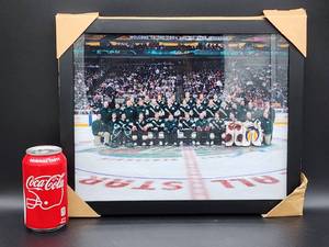 lot 115 image: Framed Picture of the 2002 Western Conference All-Star Team