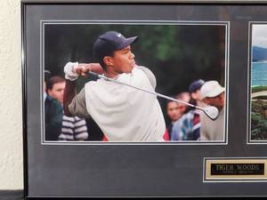 lot 87 image: Professionally Taken Photo of Tiger Woods by Photographer Walt Barry