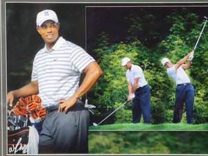 lot 96 image: Professionally Taken Photo of Tiger Woods by Photographer Walt Barry