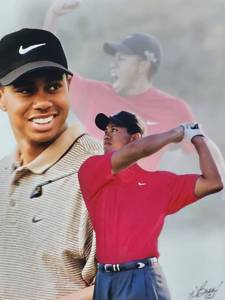 lot 134 image: Professionally Taken Photo of Tiger Woods by Photographer Walt Barry