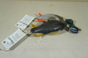 2 Dokkens Training Ducks -Wood Duck & Mallard