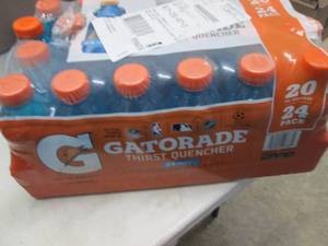 24- 20 oz Bottles Cool Blue Gatorag...