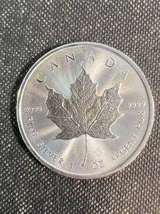 1 TROY OZ .9999 FINE SILVER ELIZABETH II CANADA ROUND