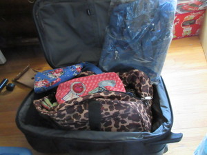 lot 501 image: BRIGGS & RILEY ROLLING CARRY ON BAG FILLED WITH CLOTH BAGS OF ALL KINDS