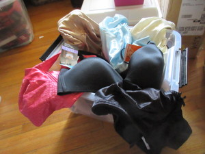 lot 512 image: BRAND NAME BRAND NEW BRAS IN VARIOUS SIZES