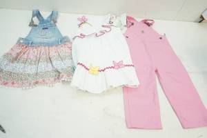 2t Carhart pink bibs