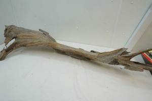 Driftwood