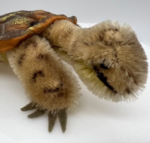 lot 57 image: Steiff Mohair Turtle - SLO