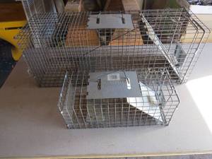 lot 84 image: 2 Piece Lot of Live Traps