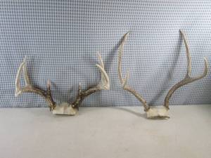 lot 287 image: (FS) 2 -Sets of Deer Antlers...