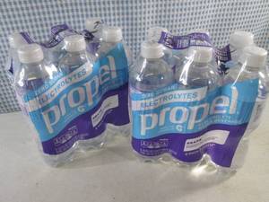 lot 53 image: (C-1) 2 - 6-Packs Propel Grape Wate...