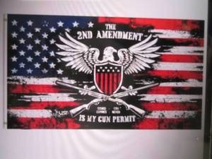 lot 118 image: (EC1) 3 ft x 5 ft The 2nd Amendmen...