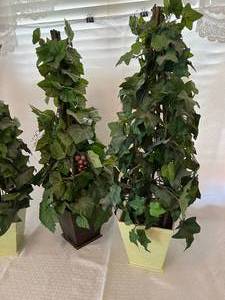 3 Topiary Trees in Wood Pots