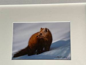 Jim Brandenburg Signed Print