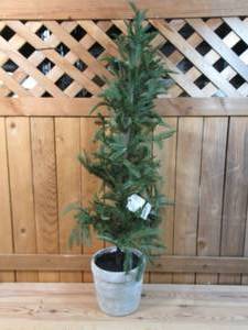 lot 80 image: Hearth & Hand with Magnolia - 40 inch Artificial Tree