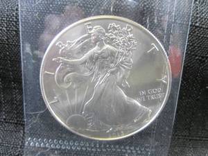 2013 Silver American Eagle $1.00 Co...