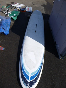 Windsurfer